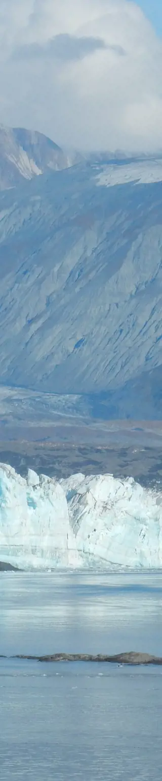 Beobachte die Robben und Wale entlang der Küste